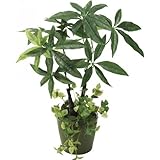 光触媒パキラ（造花・光触媒） オブジェ (4159)