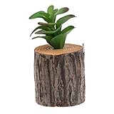 Baoblade Baoblaze 木製の人工的な多肉植物の切り株リビングルームの壁の装飾 - 2