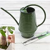 Fallen Fruits水差しグリーンと植物用水分計サスティーMサイズブラウンのセット ノーブランド品