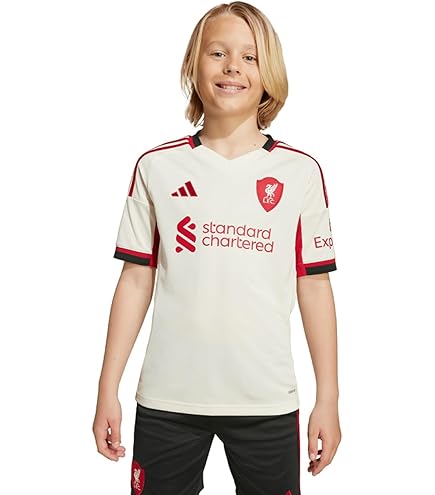 Amazon.co.jp: 2024年モデル Jリーグ サンフレッチェ広島 レプリカ