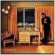 Flamingo by Brandon Flowers (2010-09-14)