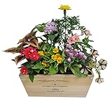 季節の寄せ植え　ウッドポット　杉ナチュラル（長方形・中）