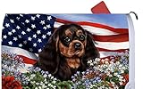 Cavalier King Charlesブラック/タン – Best of Breed愛国I Dog Breedメールボックスカバー