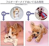 我が家の愛犬をお写真から再現★オリジナルウェイトドール（１体）フルオーダー品 【体重ドッグ＆キャット　我が家の愛犬をお写真から再現★オリジナルぬいぐるみ】