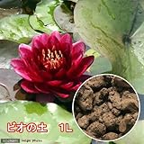 ビオの土(水草の粘土) 1リットル