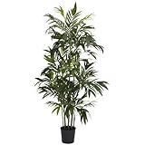 Nearly Natural 5328 Bamboo Palm Silk Tree 6-Feet Green [並行輸入品]