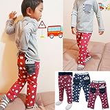 (パンダマニア)PANDA MANIA 2015 星総柄 おしりポケット付き ミニ裏毛 パンツ 80cm ネイビー