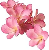 asca 造花 プルメリア ピンク A-36121-003