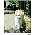 うちのまる ~養老孟司先生と猫の営業部長