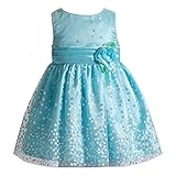 Youngland DRESS ベビー・ガールズ US サイズ: 24 Months カラー: ブルー