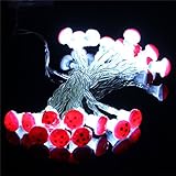 Kicode LEDウォームホワイトの文字列ライト バッテリ駆動キノコの妖精ライト 2M 20 LEDストリングライト