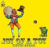 ��������̊���