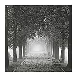 ＩＫＥＡ/イケア　PJATTERYD：アート /90x90 cm　霞んだ小道 （303.291.33）