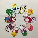 vegonia(ベゴニア) 子ども くるぶし丈 色々 動物 ソックス 靴下 １０足 セット