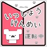 Na7na's Color 車 マグネット ステッカー いっしょうけんめい運転中 初心者マーク 耐水 UVカット 14.8cm (赤)