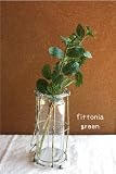 フィットニア(グリーン・1束2本) 【造花・未触媒】【器なし】 41657