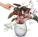 Lantch（ランチ）音楽植木鉢　スマート音楽花瓶　Bluetoothスピーカー 　音楽フラワーポット　植物をタッチして音楽が再生できる　植物ピアノ　usb充電可　底排水口あり　虹色ライト　ナイトライ