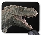恐竜：ティラノサウルスのマウスパッド 2：フォトパッド（ 世界の古生物シリーズ ） (A)