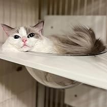 Amazon | ieneko 猫 ケージ 3段 キャットケージ 木製 無垢材 幅