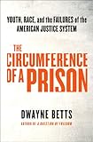 Circling Disaster: Youth, Race, and the Failures of the American Justice System