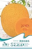 フルーツ種子は赤メロンの種を網状非常に脆い風味を付け、15 /パッケージ