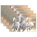 wihveプレースマットWipeableダイニングHorse Run Sky Sunrise 12 x 18 inch