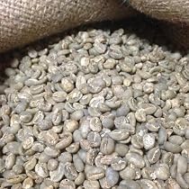 【コーヒー生豆】マンデリンG1 5kg　 ※送料無料！ Amazon.co.jp: 【箱詰め】松屋珈琲 コーヒー生豆 インドネシア