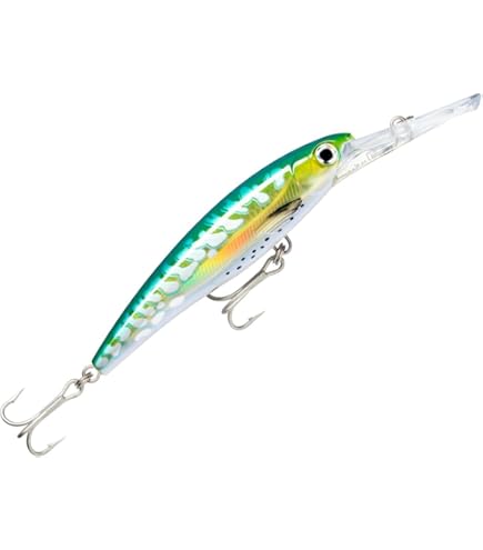 Amazon.co.jp: Rapala(ラパラ) ミノー カウントダウン マグナム 14cm