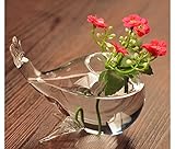 植物 花 装飾 花瓶 ボトル ぶら下げ クリア ガラス 壁 水耕栽培 プレゼント 雑貨 飾り 結婚式 容器