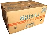 じゃがいも 種イモ　キタアカリ 10Kg　サイズＬ　送料込