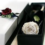 Makefuture D 一輪の薔薇 プリザーブドフラワー ダイヤモンドローズ (プラチナホワイト)