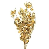 ~Coco Heart~　X'masにお勧め　プリザーブド　ヒイラギ　ゴールド　(クリスマス・プリザブドフラワー・リース）