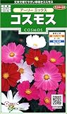 サカタのタネ 実咲花6350 コスモス アーリーミックス 00906350 10袋セット