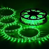 DELight 150ft Green 2 Wire LED Rope Light Indoor Outdoor Home Holiday Valentines Party Restaurant Ca