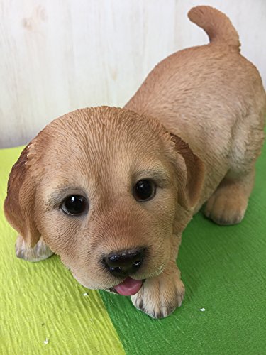 吠えない子犬⑬