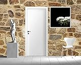 (ウォール26) wall26 自己粘着式壁紙 大型壁面シリーズ 100"x144" WMR-WP-X-C382-100x24x6