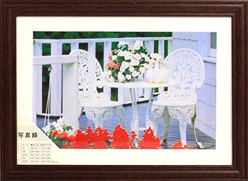イワタ 額縁 写真額 テラス W六つ切り 木製 ブラウン Mp 95br W6 文具百貨