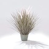 萩原 アーティフィシャルフラワー キャットテールバケツ M [高さ:約86cm]