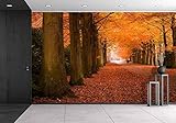 wall26 – 自己粘着壁紙大壁壁画シリーズ 100"x144" WMR-WP-X-C404-100x24x6