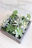 Succulent＊多肉箱庭＊セダム＊多肉植物 0202　造花 人工観葉植物 フェイクグリーン 消臭＊CT触媒