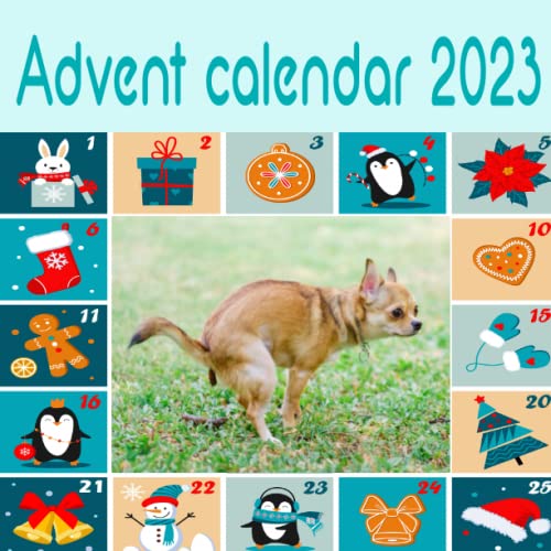 Amazon Advent Calendar 2023 25 Days Advent Calendar Pooping Dogs 25 