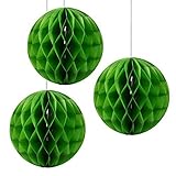 Floral Reef Set of 3 - 4 GREEN Tissue Paper Honeycomb Ball Pom Pom Flower Hanging Home Decoration Pa