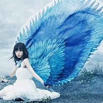 Amazon.co.jp: Starry Wish: ミュージック
