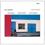 �A�C���H���[�E�t�H���X�g