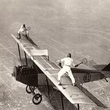 �n�C�E�W�����v