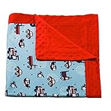 Planes and Trains Printed Minky Dot Baby Blanket by Blossoms & Buds