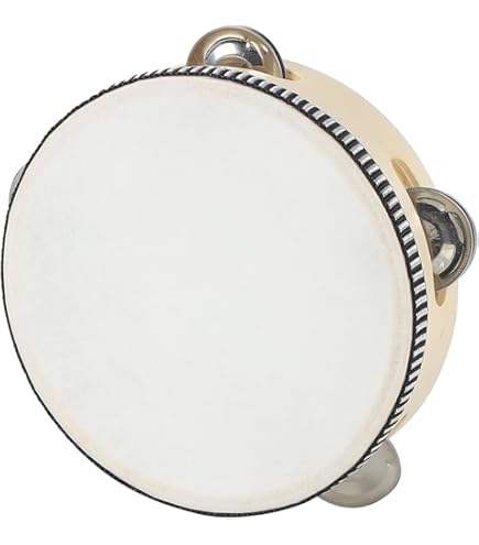 Amazon | REMO レモ タンバリン LREMTA421043 [Prizmatic Tambourine