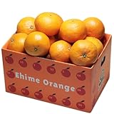「お試しなつみ3」お試し品　愛媛なつみ3kg 木成完熟品(カラマンダリン×ポンカン) フルーツ...