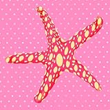 Oopsy daisy Star, Star Pink Stretched Canvas Wall Art by Meghann O'Hara, 10 by 10-Inch [並行輸入品]