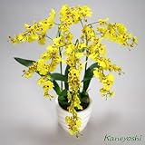 胡蝶蘭 造花 光触媒 花 ギフト プレゼント 鉢植え 鉢 オンシジューム イエロー 3本立て 【ギフトラッピンク・ギフトカード対応】